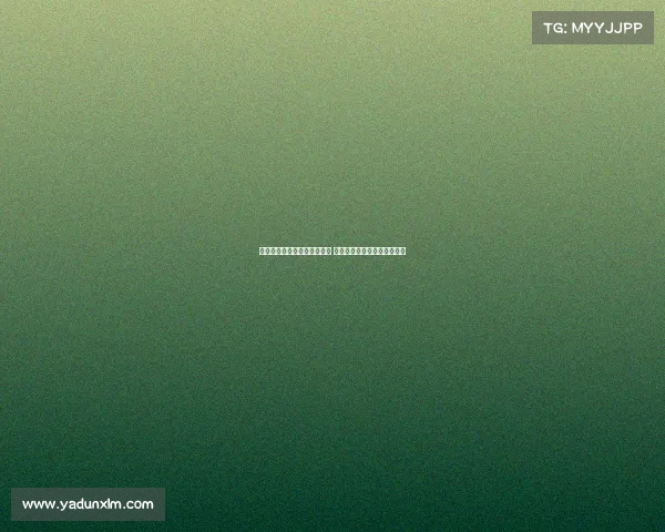 新援加盟引爆球队期待新篇章 助力团队迎接挑战开启新征程